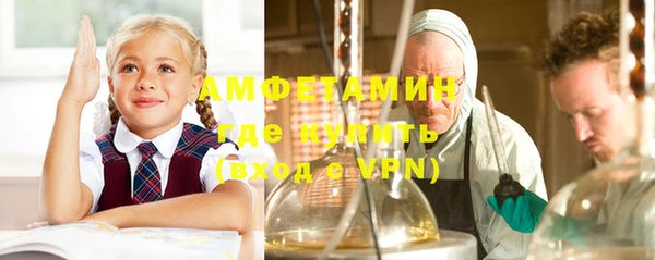 сатива Липки