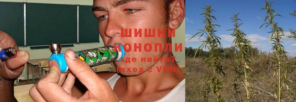 гашик Лихославль