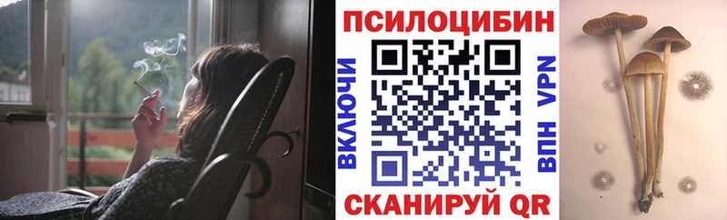 Купить где  Кочубеевское  Псилоцибиновые грибы Magic Shrooms 